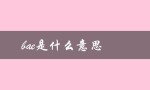 bae是什么意思（bae是什么意思的缩写）