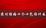 农村结婚十个十包括什么（农村结婚送日子范文是什么）