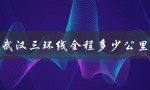 武汉三环线全程多少公里（武汉环线公里数）