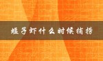 蜢子虾什么时候捕捞（鹰爪虾何时捕捞）