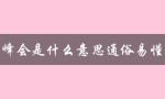 峰会是什么意思通俗易懂（解释峰会的定义和作用）