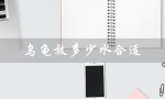 乌龟放多少水合适（乌龟放水量适宜吗）