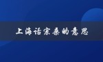 上海话宗桑的意思（上海话中宗桑的意思是什么）