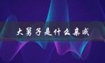 大舅子是什么亲戚（大舅子是什么关系）