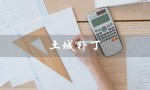 土城补丁（什么是土城补丁）