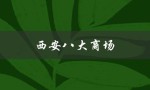 西安八大商场（西安有哪八大景点）