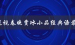 2023辽视春晚贾冰小品经典语录（笑翻全场的幽默金句）