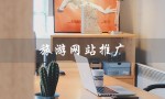 旅游网站推广（旅游网站如何推广）