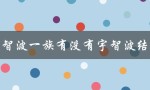 宇智波一族有没有宇智波结衣（宇智波美琴是否为宇智波一族）