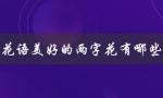 花语美好的两字花有哪些（美好的花语是什么）