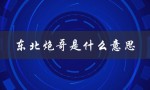 东北炮哥是什么意思（东北三炮是什么）