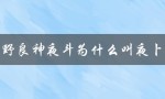 野良神夜斗为什么叫夜卜：解析日本神话中的卜字含义