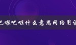 吧啦吧啦什么意思网络用语（1和0的网络用语是什么）