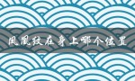 凤凰纹在身上哪个位置（男人纹凤凰在哪）