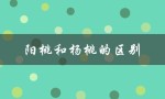 阳桃和杨桃的区别（野猕猴桃根抗肿瘤）