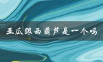 亚瓜和西葫芦的区别和相似之处是什么？