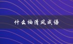 什么袖清风成语（什么成语是袖清风）