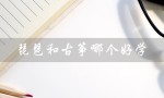 琵琶和古筝哪个好学（琵琶与古筝哪好学50岁）