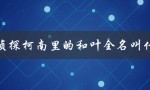 名侦探柯南里的和叶全名叫什么（揭秘和叶的身世）