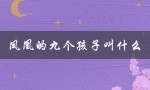 凤凰的九个孩子叫什么（凤凰的九个孩子叫什么）