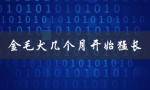 金毛犬几个月开始猛长（金毛犬几个月能长大）
