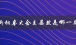 新相亲大会王晏然是哪一期（第二季选手）