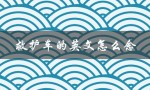 救护车的英文怎么念（救护车英文怎么读）