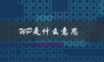 WP是什么意思（wp的含义是什么）
