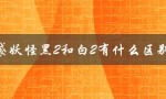 口袋妖怪黑2和白2有什么区别（黑2敲钟有何用）