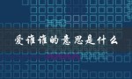 爱谁谁的意思是什么（爱谁谁去是什么意思）