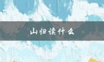 山归读什么（山归应读什么）