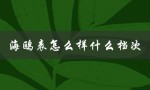 海鸥表怎么样什么档次（世界名表品牌前10）