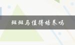 斑斑马值得培养吗（斑马练习值得吗）