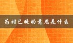 为时已晚的意思是什么（已晚为何意）