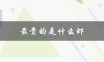 最贵的是什么虾（虾中最贵者）