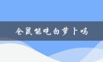 仓鼠能吃白萝卜吗（仓鼠能否吃白萝卜原因是什么）