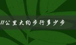 11公里大约步行多少步（步行40公里需要多长时间）