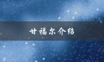 甘福尔介绍（甘福尔的坐骑是什么）