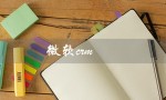 微软crm（微软CRM系统是什么）