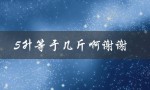 5升等于几斤啊谢谢（5升等于几斤）