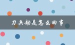 刀兵劫是怎么回事（历史上的著名抢劫事件）