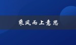 乘风而上意思（乘风而上的意思是什么）