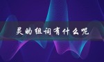灵的组词有什么呢（精灵的灵能组什么词）