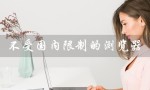 不受国内限制的浏览器（什么是不受国内限制的浏览器app）