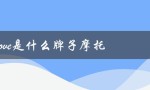 colove是什么牌子摩托（colove女装是哪个品牌）