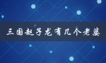 三国赵子龙有几个老婆（赵子龙有几个儿子）