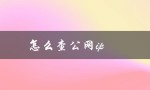 怎么查公网ip（如何查公网IP）