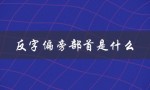 反字偏旁部首是什么（反字偏旁部首是什么）