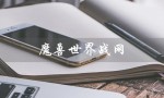 魔兽世界战网（怎么将魔兽世界战网改为亚服）