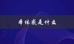 本体感是什么（本体感与创造力的关系）